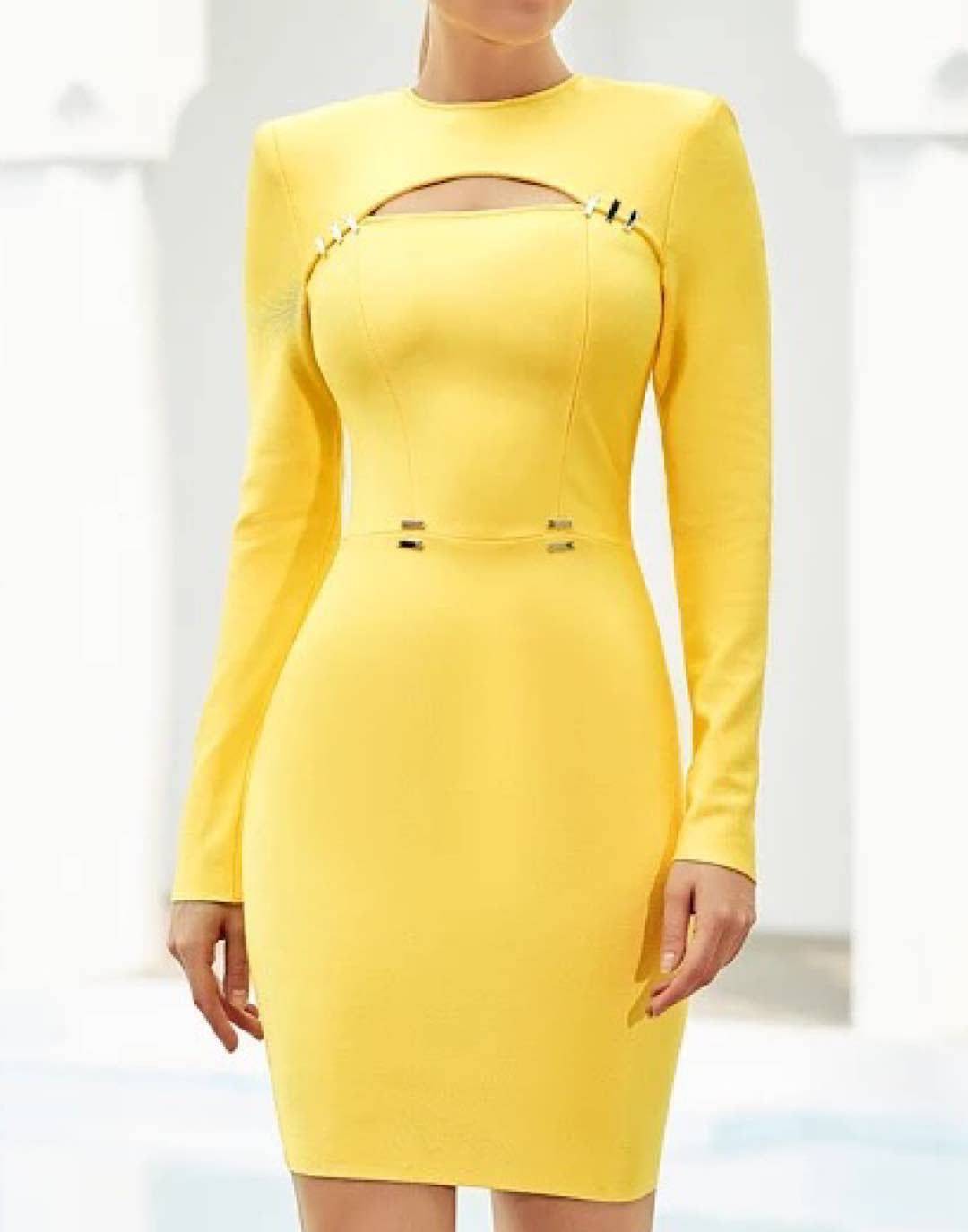 Cleavage Cutout Bodycon Dress