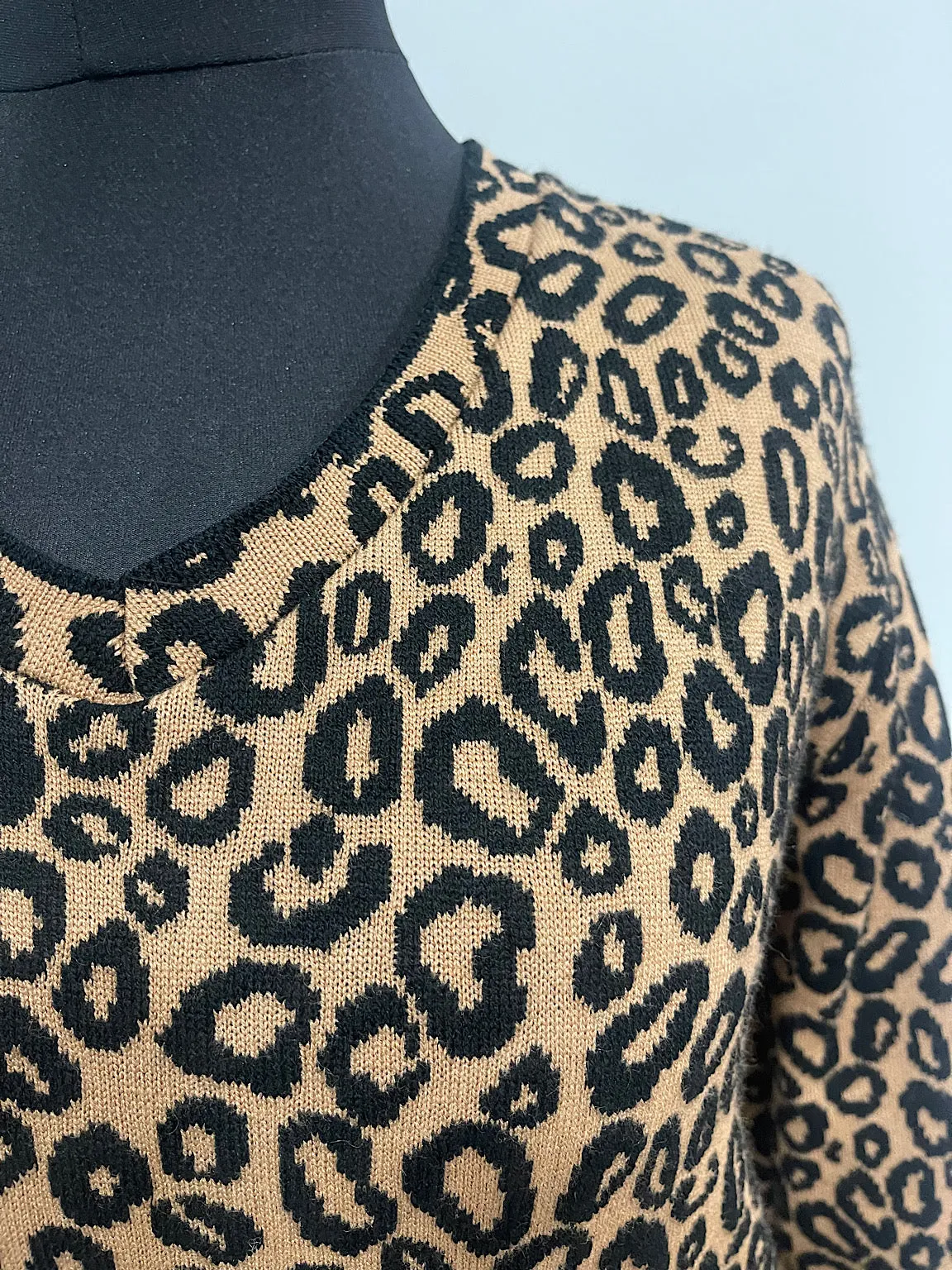 Leopard V-Neck Knit Top - Sophia