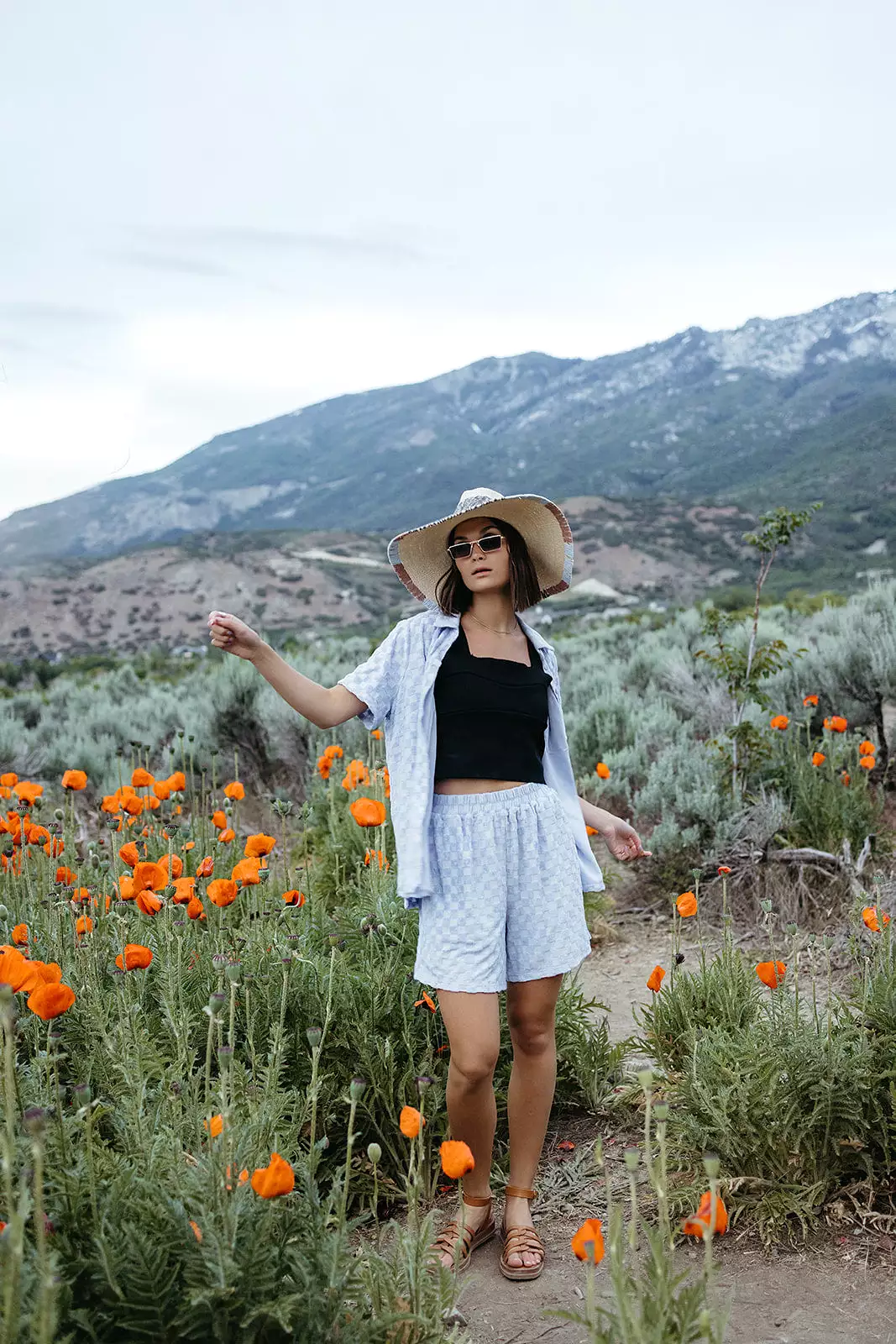 Textured Knit Shorts Blue Check Chipley